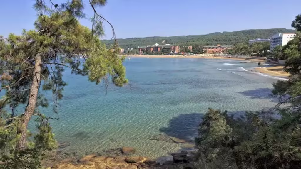 Pinienbäume am Incekum-Strand in Avsallar mit kristallklarem Meer