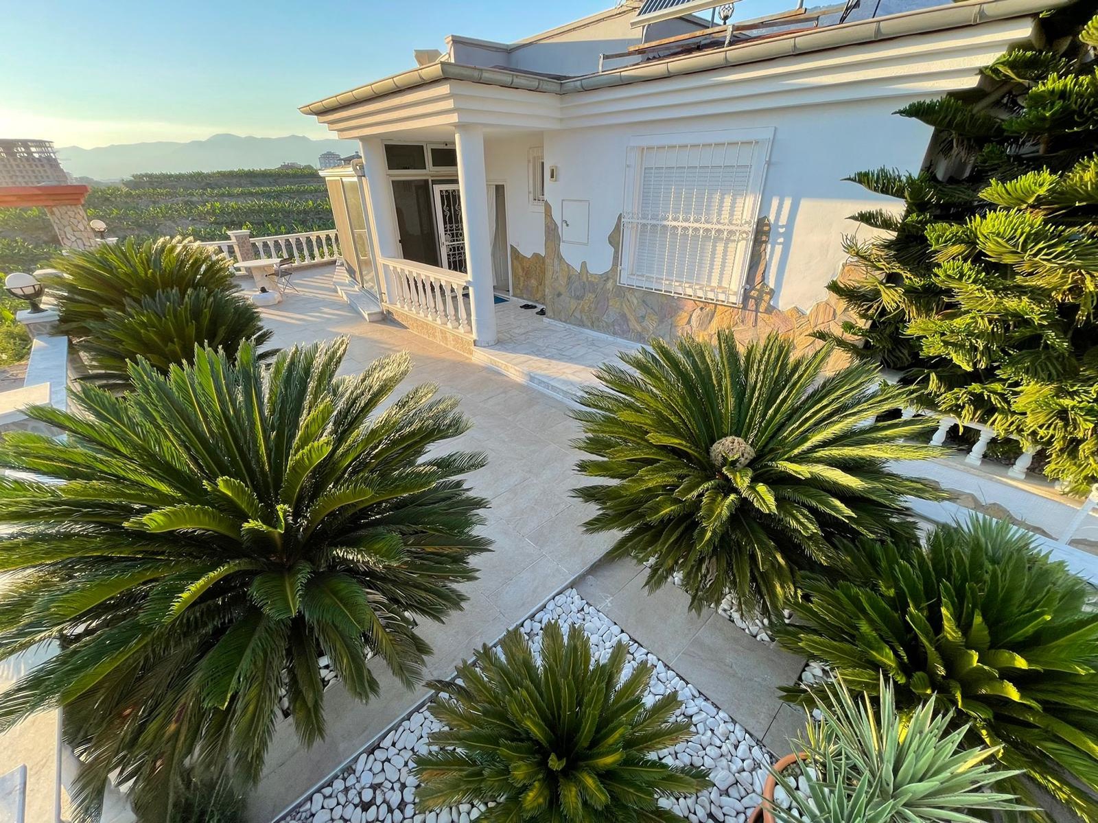Tropischer Garten einer 4-Zimmer-Villa in Alanya Mahmutlar – mediterrane Pflanzen und sonnige Terrassen